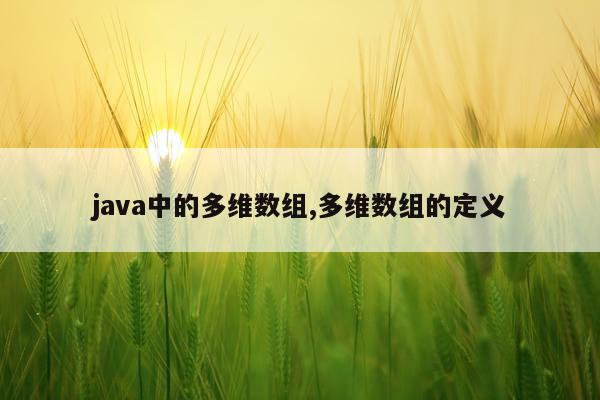 java中的多维数组,多维数组的定义