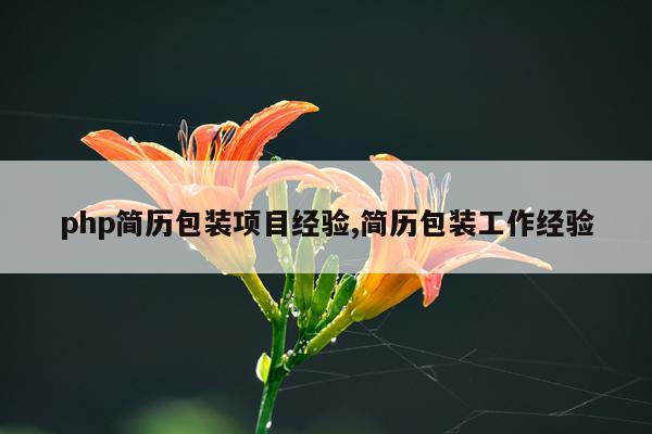 php简历包装项目经验,简历包装工作经验