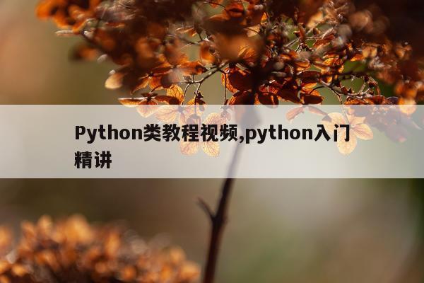 Python类教程视频,python入门精讲