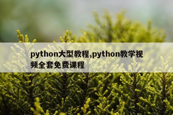 python大型教程,python教学视频全套免费课程
