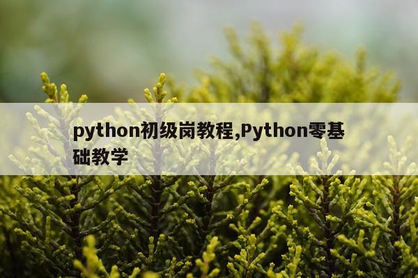 python初级岗教程,Python零基础教学