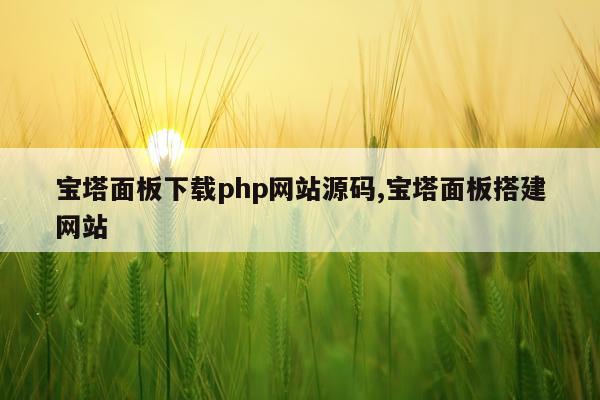 宝塔面板下载php网站源码,宝塔面板搭建网站