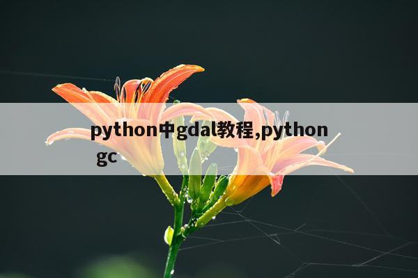 python中gdal教程,python gc
