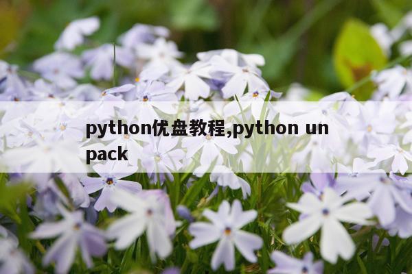 python优盘教程,python unpack