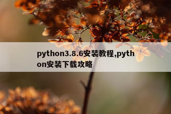python3.8.6安装教程,python安装下载攻略