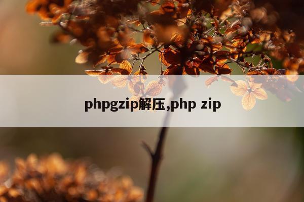 phpgzip解压,php zip