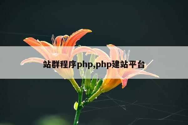 站群程序php,php建站平台