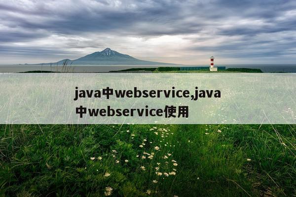 java中webservice,java中webservice使用