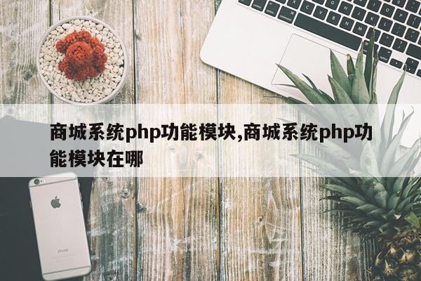 商城系统php功能模块,商城系统php功能模块在哪