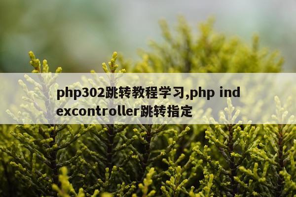 php302跳转教程学习,php indexcontroller跳转指定