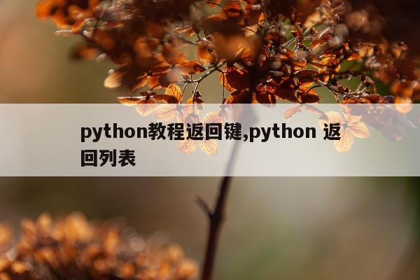 python教程返回键,python 返回列表