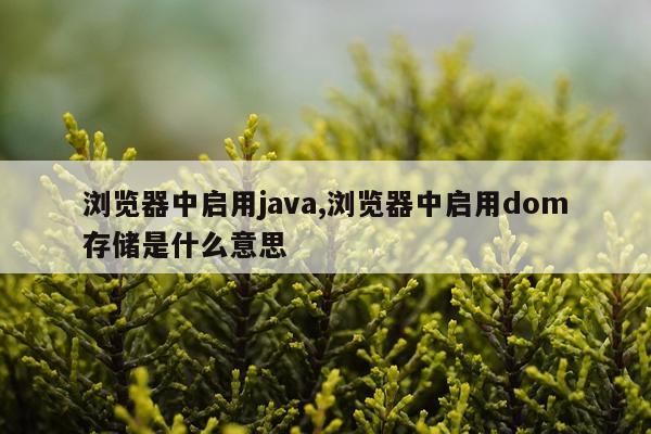 浏览器中启用java,浏览器中启用dom存储是什么意思