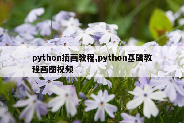 python插画教程,python基础教程画图视频