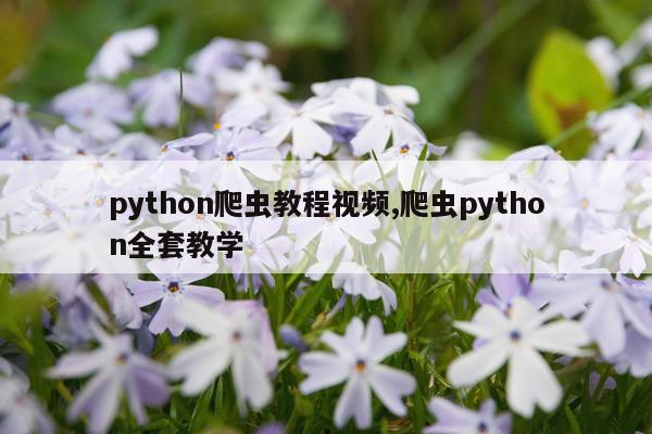 python爬虫教程视频,爬虫python全套教学