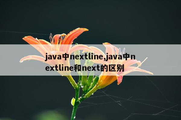 java中nextline,java中nextline和next的区别