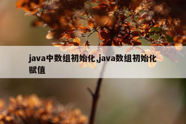 java中数组初始化,java数组初始化赋值
