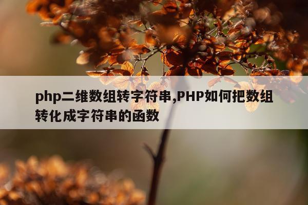 php二维数组转字符串,PHP如何把数组转化成字符串的函数