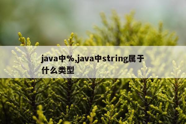 java中%,java中string属于什么类型