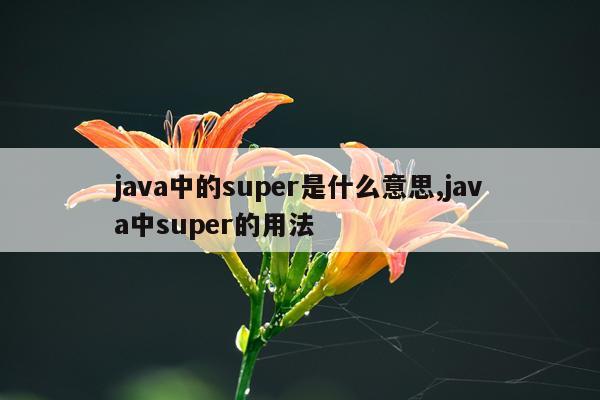 java中的super是什么意思,java中super的用法