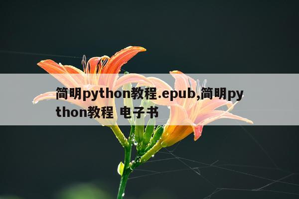 简明python教程.epub,简明python教程 电子书