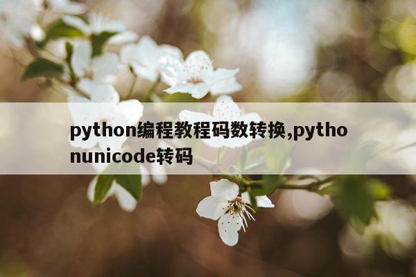 python编程教程码数转换,pythonunicode转码