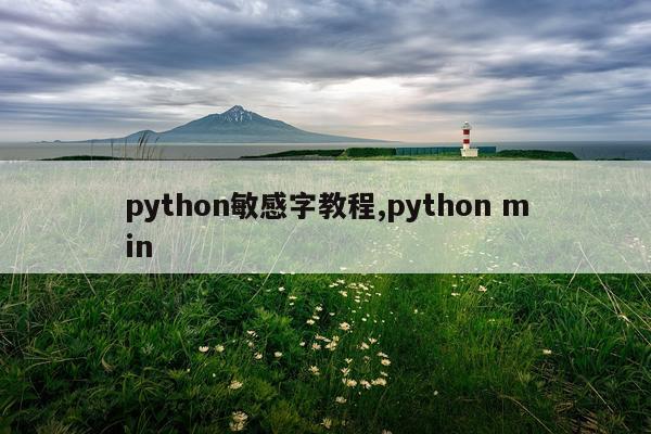 python敏感字教程,python min
