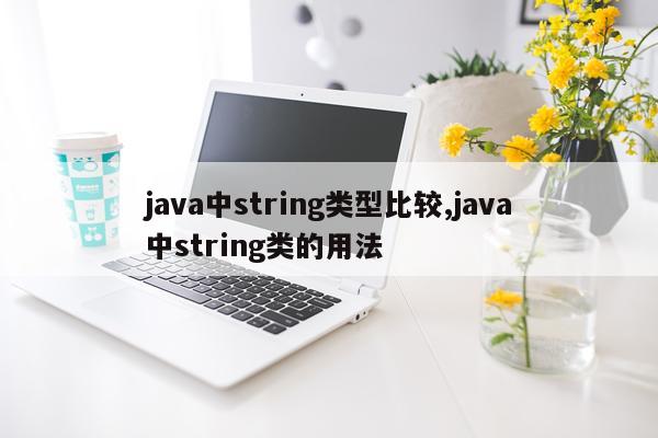 java中string类型比较,java中string类的用法