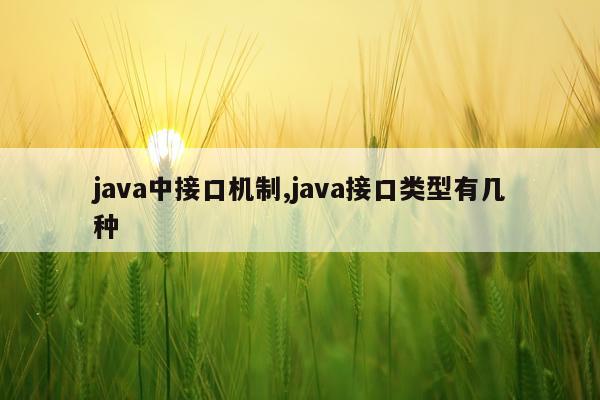 java中接口机制,java接口类型有几种