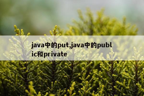 java中的put,java中的public和private