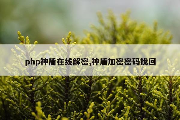 php神盾在线解密,神盾加密密码找回