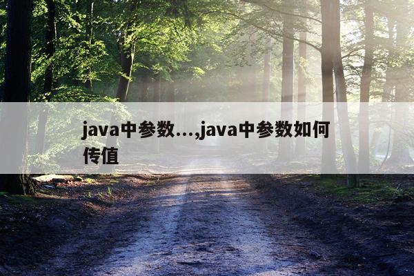 java中参数...,java中参数如何传值
