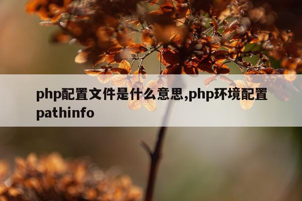 php配置文件是什么意思,php环境配置pathinfo