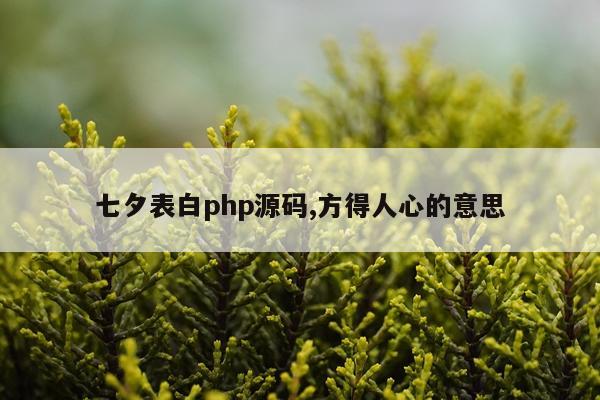 七夕表白php源码,方得人心的意思