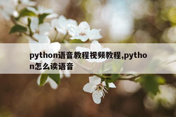 python语音教程视频教程,python怎么读语音