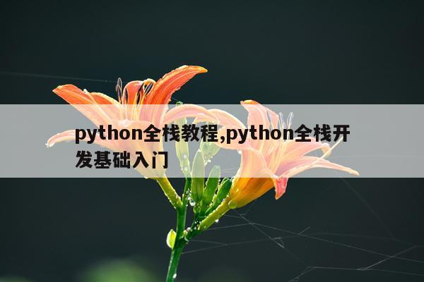 python全栈教程,python全栈开发基础入门