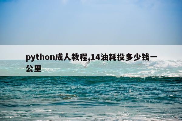 python成人教程,14油耗投多少钱一公里