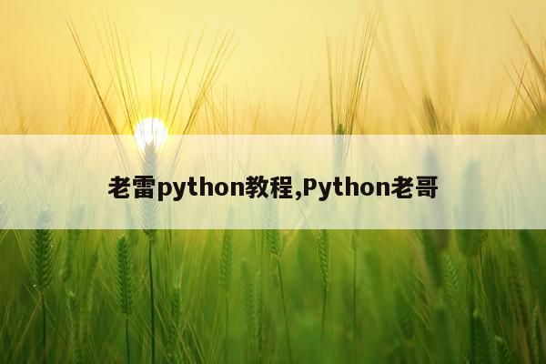 老雷python教程,Python老哥