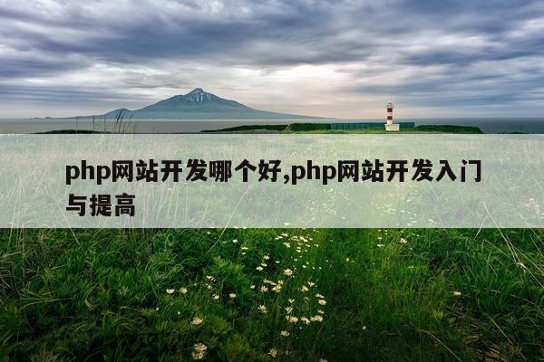 php网站开发哪个好,php网站开发入门与提高