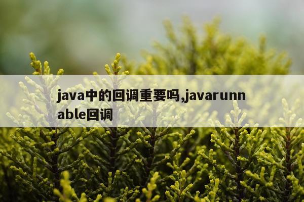 java中的回调重要吗,javarunnable回调