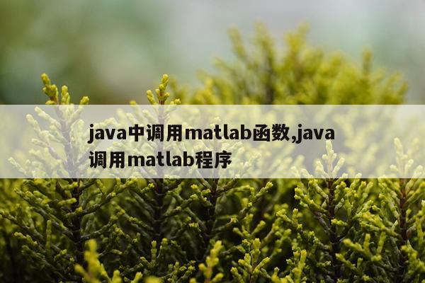 java中调用matlab函数,java调用matlab程序