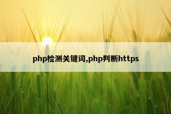 php检测关键词,php判断https