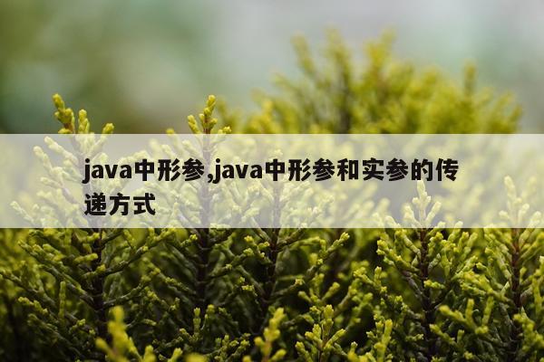 java中形参,java中形参和实参的传递方式
