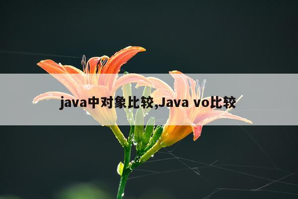 java中对象比较,Java vo比较