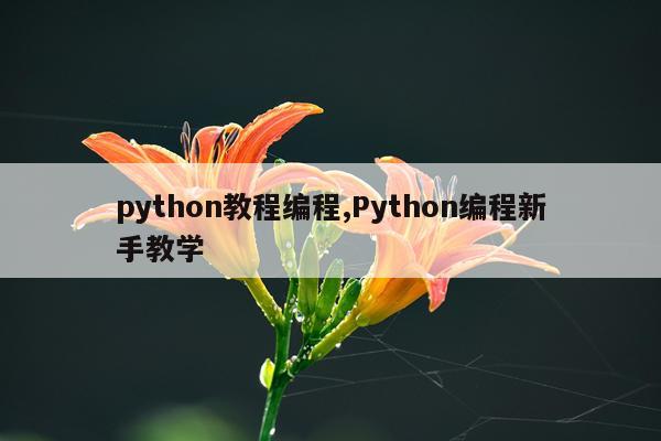 python教程编程,Python编程新手教学