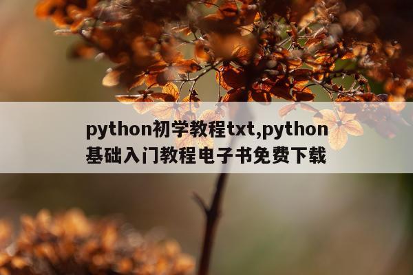 python初学教程txt,python基础入门教程电子书免费下载