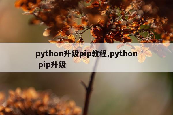 python升级pip教程,python pip升级
