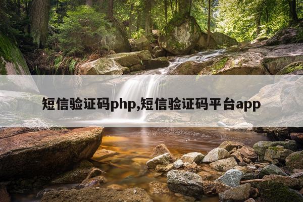 短信验证码php,短信验证码平台app