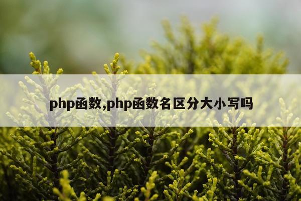 php函数,php函数名区分大小写吗