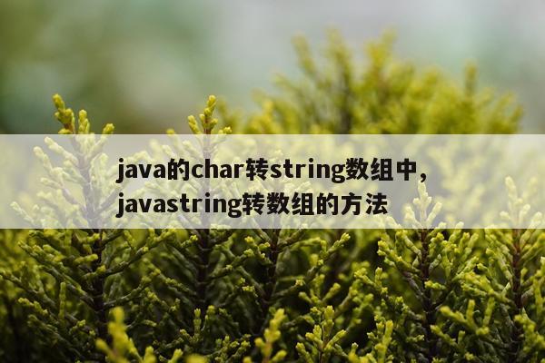 java的char转string数组中,javastring转数组的方法