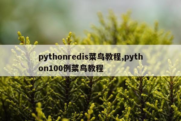 pythonredis菜鸟教程,python100例菜鸟教程